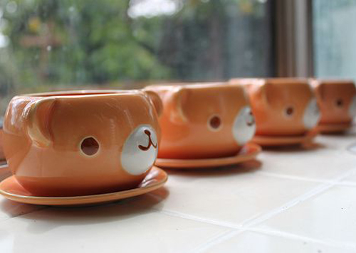 乐姓女孩好听的名字